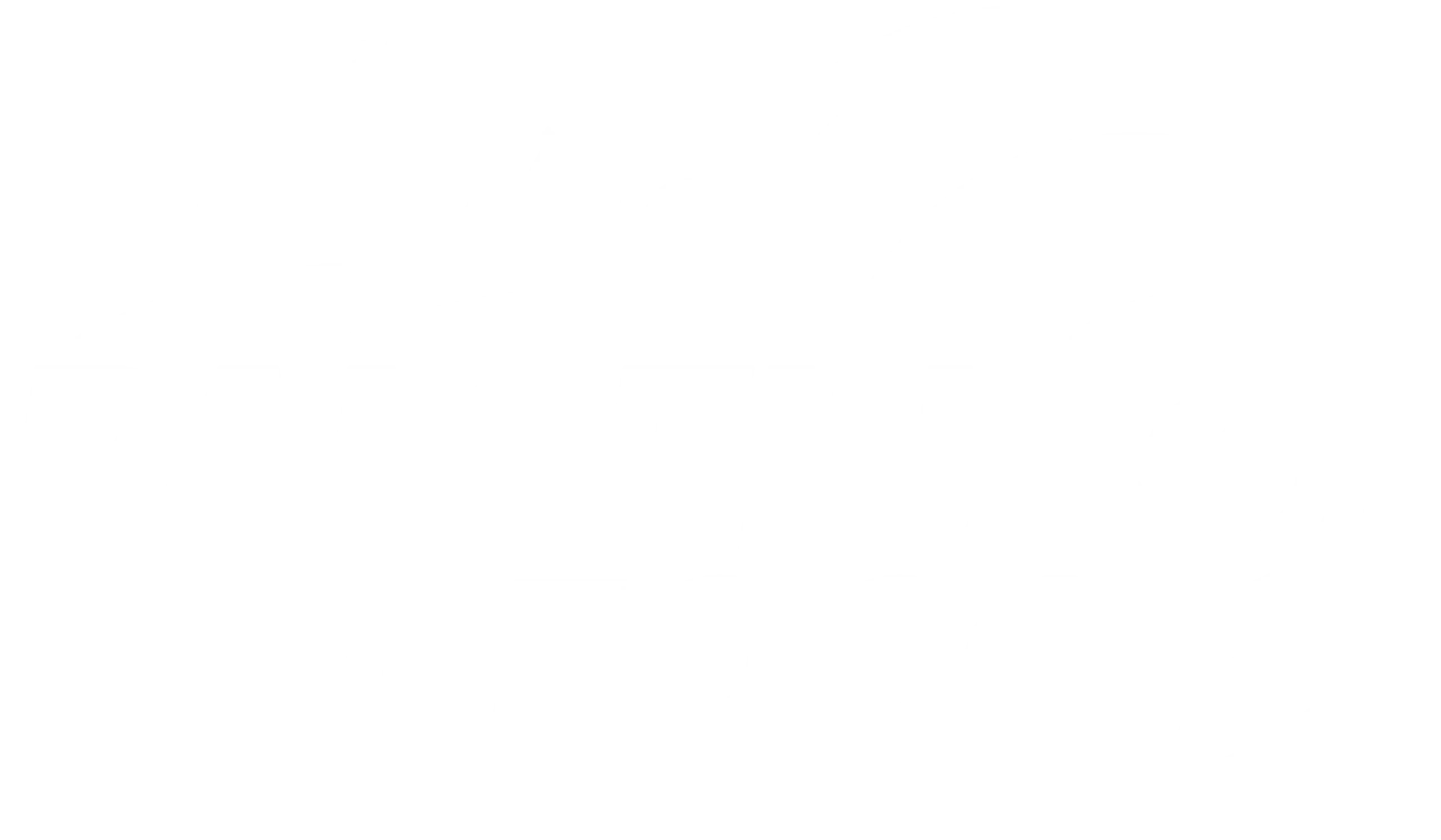 Logo white